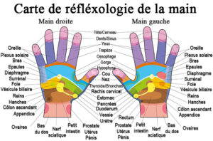 réflexologie des mains